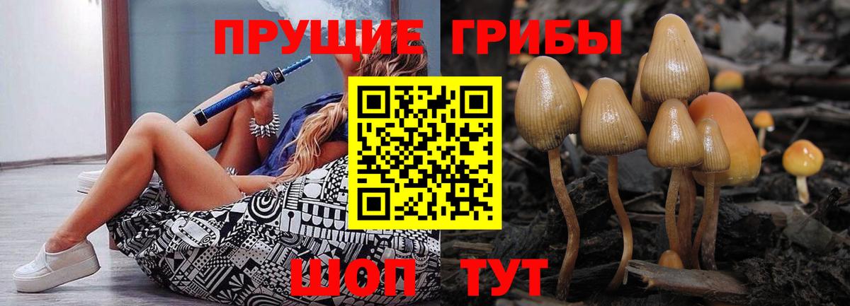 Псилоцибиновые грибы GOLDEN TEACHER  Вход с VPN  Татарск 